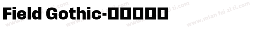 Field Gothic字体转换